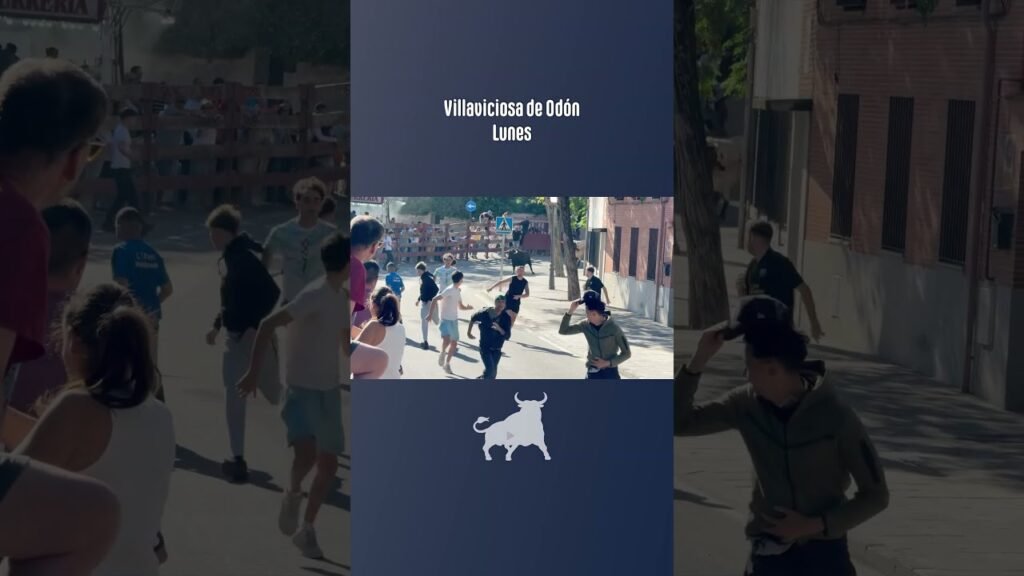 Encierro urbano en Villaviciosa De Odon 2026 - Dos toros de la capea Villaviciosa de Odón 21-09-26