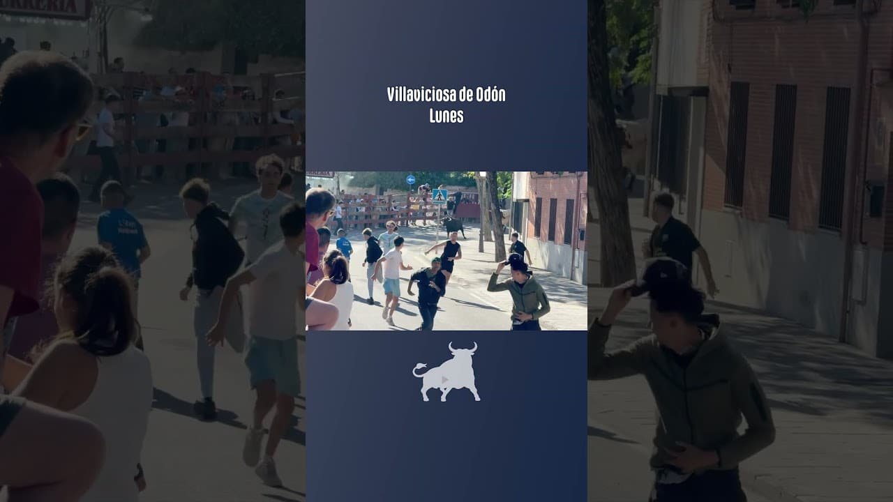 Encierro urbano en Villaviciosa De Odon 2026 - Dos toros de la capea Villaviciosa de Odón 21-09-26