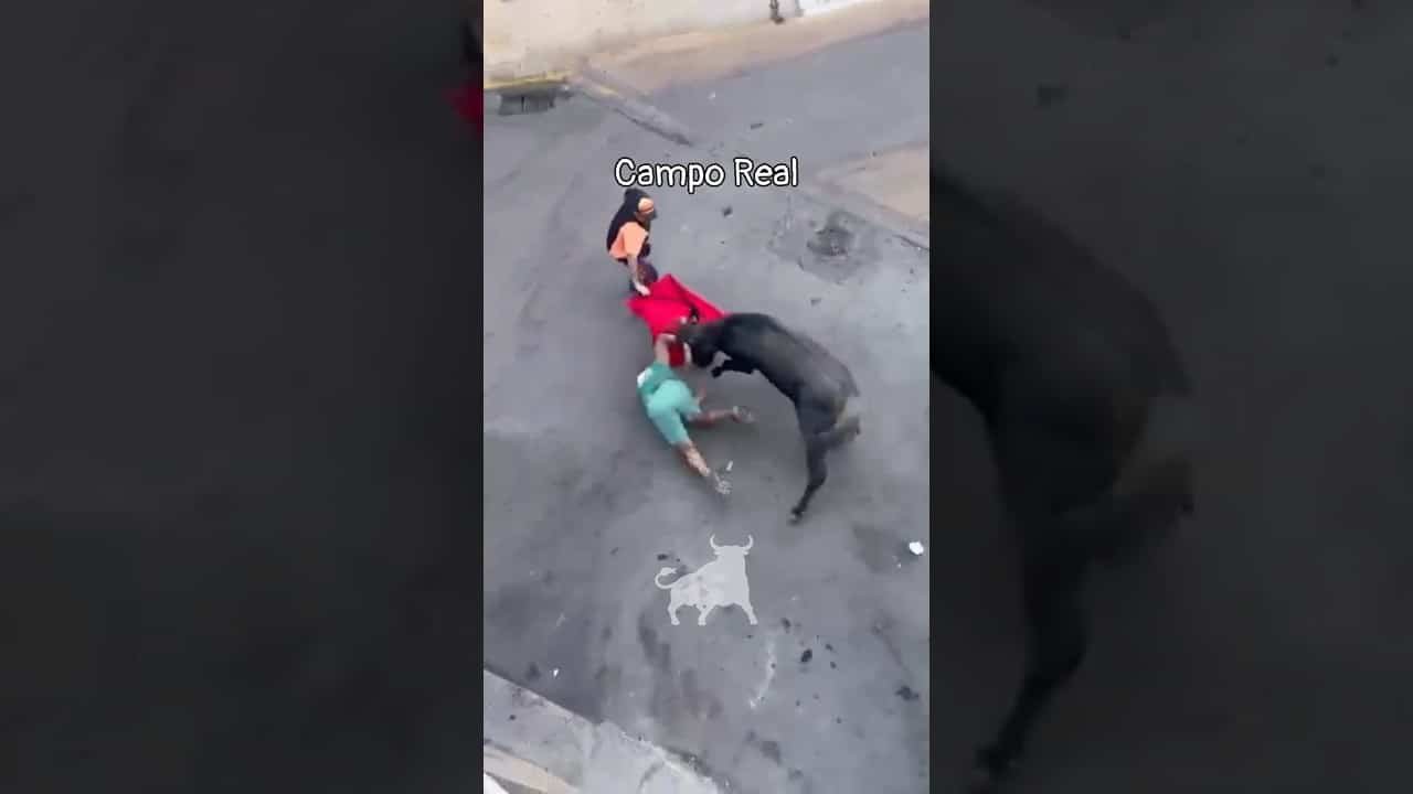 Encierro urbano en Campo Real 2026 - ¡ATENCIÓN! Cogida en Campo Real