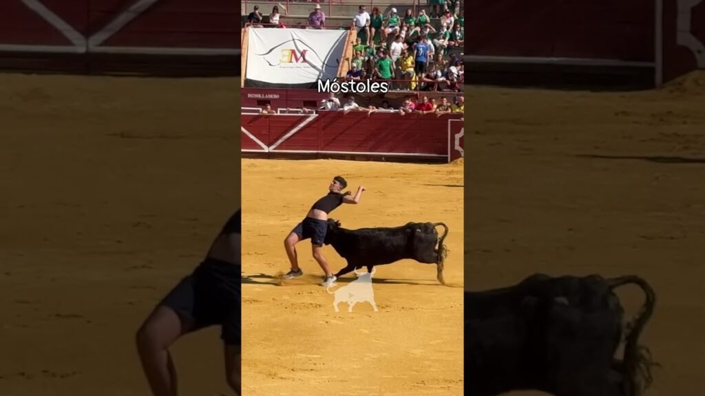 Encierro en Mostoles 2026 - La vaca lo alcanza poniéndole en apuros