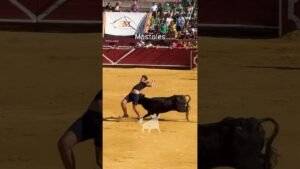 Encierro en Mostoles 2026 - La vaca lo alcanza poniéndole en apuros