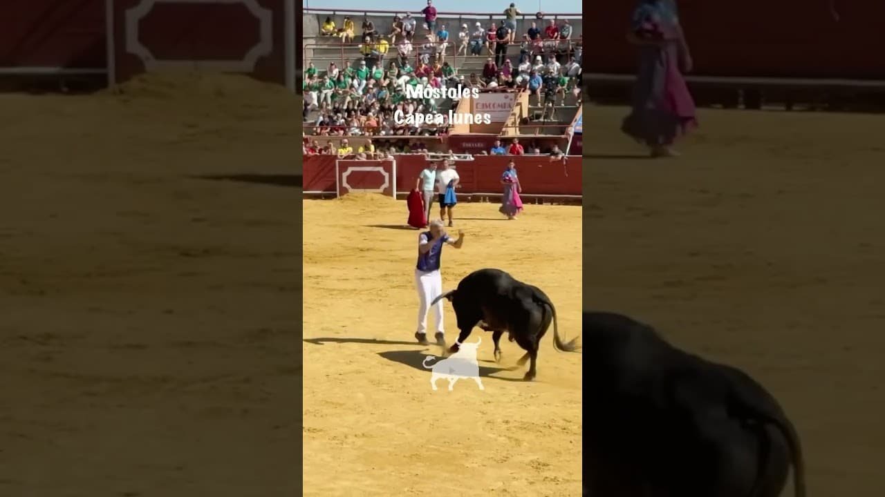 Encierro en Mostoles 2026 - Capea lunes 14 Móstoles