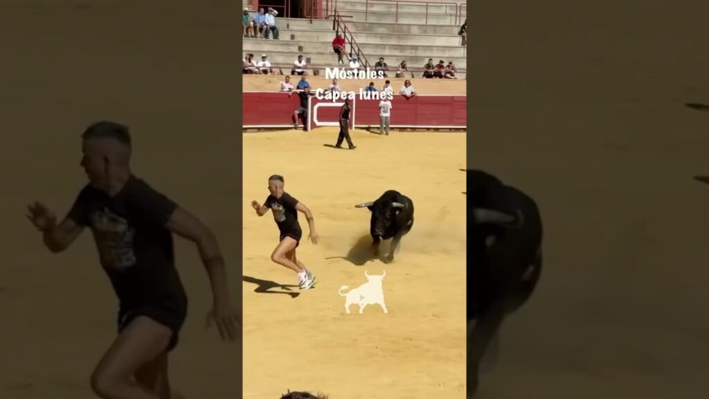 Encierro en Mostoles 2026 - Gran quiebro en la arena: Capea de Móstoles (Parte 3)