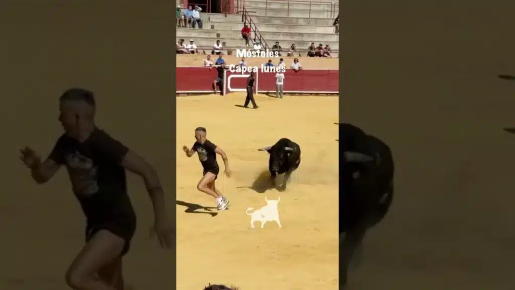 Encierro en Mostoles 2026 - Gran quiebro en la arena: Capea de Móstoles (Parte 3)