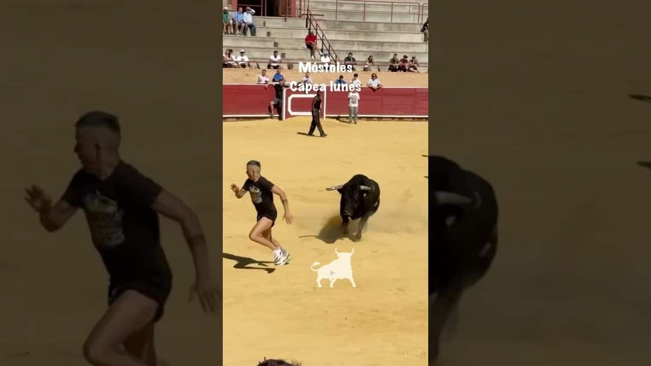 Encierro en Mostoles 2026 - Gran quiebro en la arena: Capea de Móstoles (Parte 3)