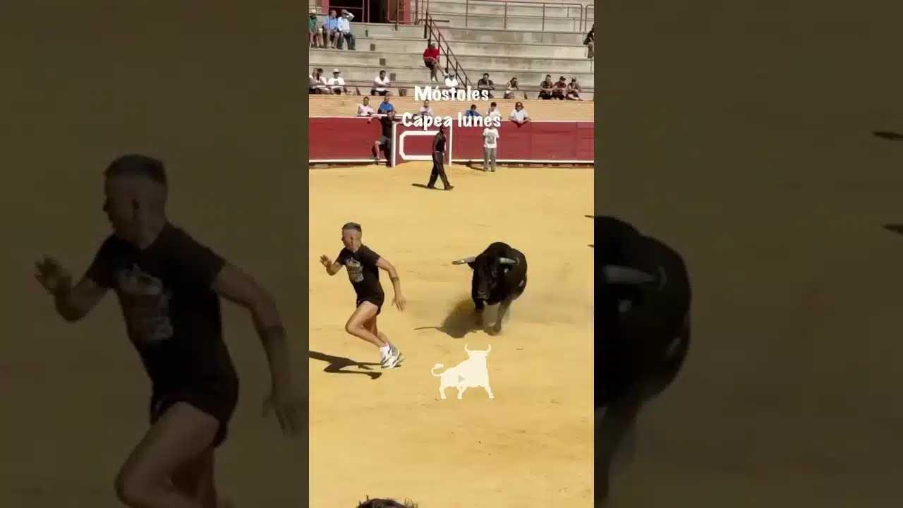 Encierro en Mostoles 2026 - Gran quiebro en la arena: Capea de Móstoles (Parte 3)