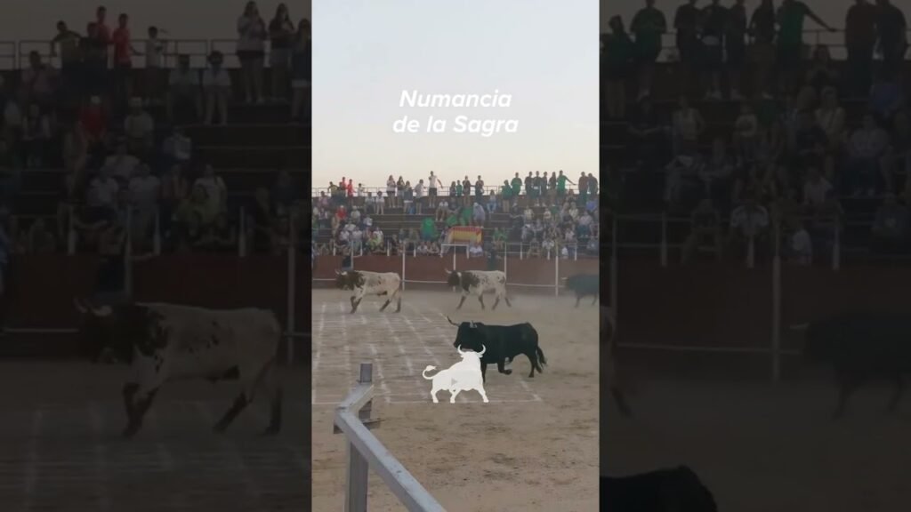 Toro a cajon en Numancia De La Sagra 2026 - Bonitas carreras por las calles de Numancia de la Sagra