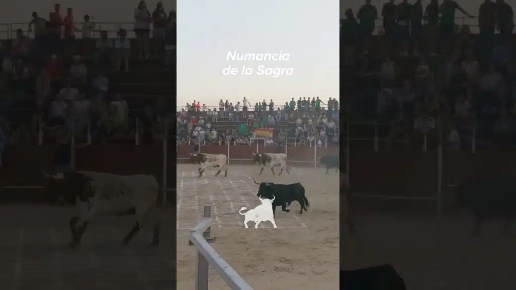 Toro a cajon en Numancia De La Sagra 2026 - Bonitas carreras por las calles de Numancia de la Sagra