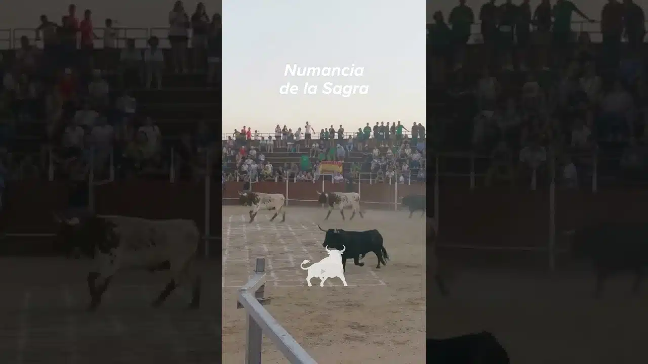 Toro a cajon en Numancia De La Sagra 2026 - Bonitas carreras por las calles de Numancia de la Sagra