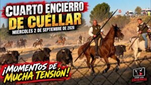 Encierro en Cuellar 2026 - Imágenes INÉDITAS del Cuarto encierro Cuéllar 02-09-26