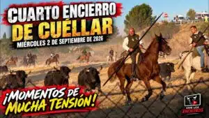 Encierro en Cuellar 2026 - Imágenes INÉDITAS del Cuarto encierro Cuéllar 02-09-26