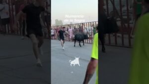 Encierro urbano en Numancia De La Sagra 2026 - El toro embiste con fuerza en las vallas