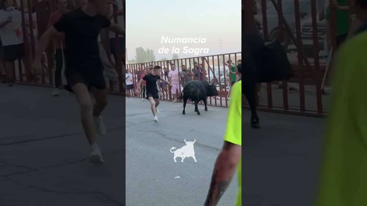 Encierro urbano en Numancia De La Sagra 2026 - El toro embiste con fuerza en las vallas