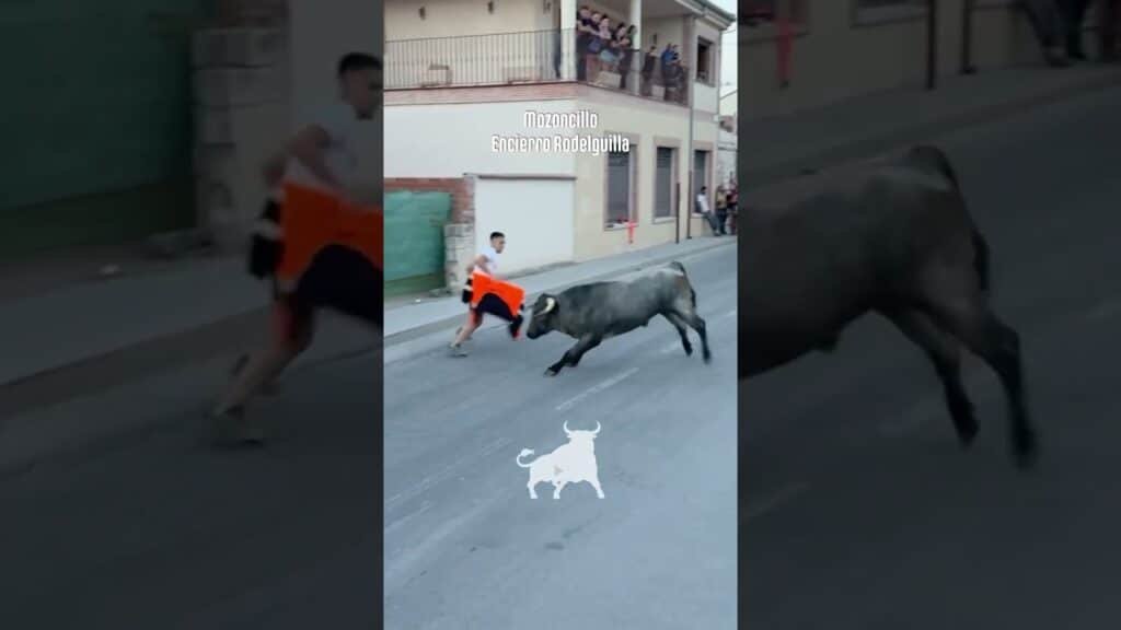 Encierro urbano en Mozoncillo 2026 - Salida primer toro Encierro Rodelguilla