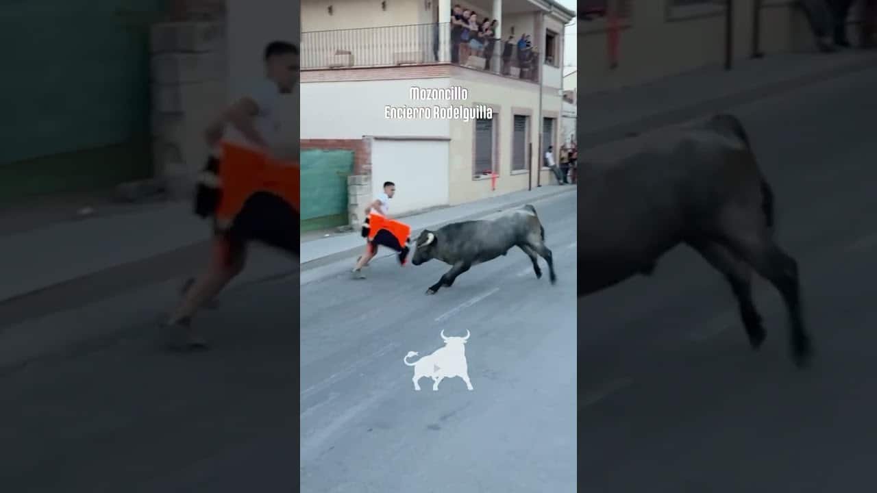 Encierro urbano en Mozoncillo 2026 - Salida primer toro Encierro Rodelguilla