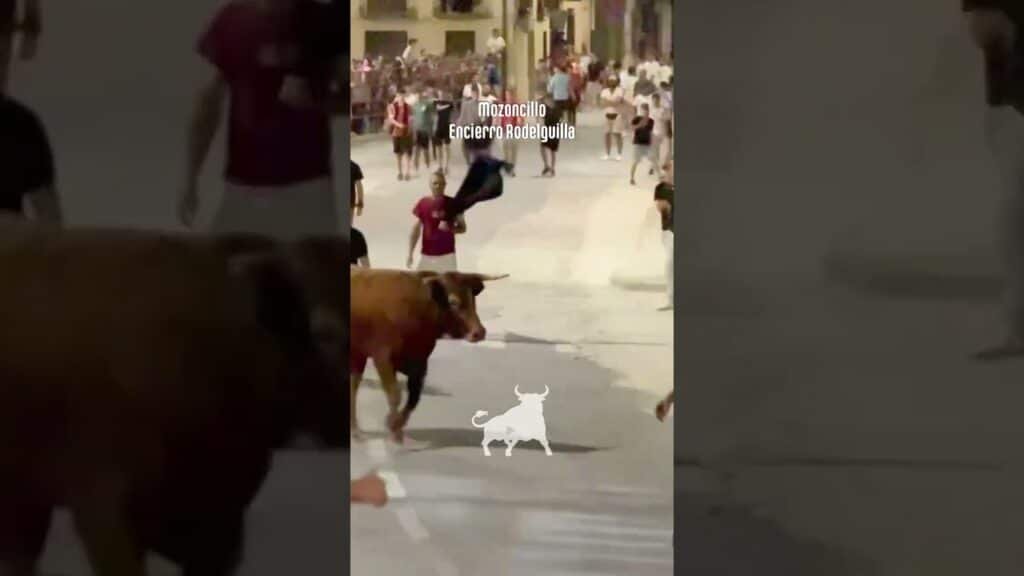 Encierro urbano en Mozoncillo 2026 - Toros incansables por las calles