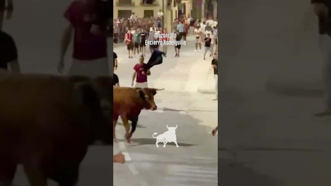 Encierro urbano en Mozoncillo 2026 - Toros incansables por las calles