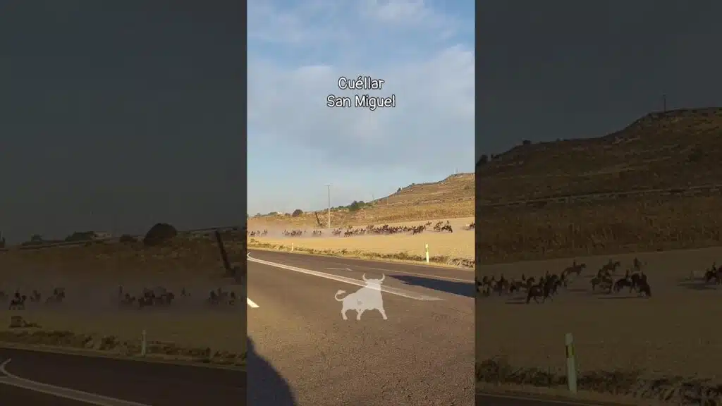 Encierro mixto en Cuellar 2026 - Paso carretera de Cantalejo encierro San Miguel Cuéllar