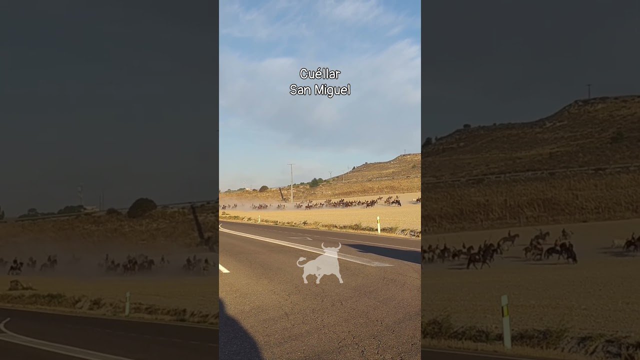 Encierro mixto en Cuellar 2026 - Paso carretera de Cantalejo encierro San Miguel Cuéllar