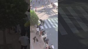 Encierro mixto en Cuellar 2026 - Los toros llegando a la Avenida de los toros Cuéllar