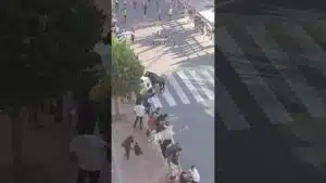 Encierro mixto en Cuellar 2026 - Los toros llegando a la Avenida de los toros Cuéllar