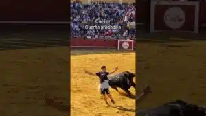 Capea en Cuellar 2026 - PROBADILLA CUARTO ENCIERRO CUÉLLAR PARTE 3
