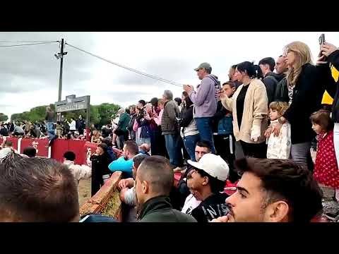Encierro mixto en Gomezserracín 2026 - REDIFUSIÓN DIRECTO ENCIERRO MIXTO GOMEZSERRACÍN
