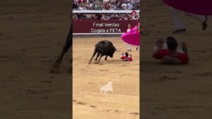 Concurso de recortadores en Madrid 2026 - SUSTO AL PETA EN EL CAMPEONATO DE ESPAÑA