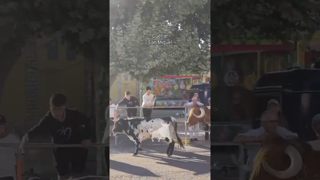 Encierro mixto en Cuellar 2026 - Toros de la Flor de la Canela en Cuéllar