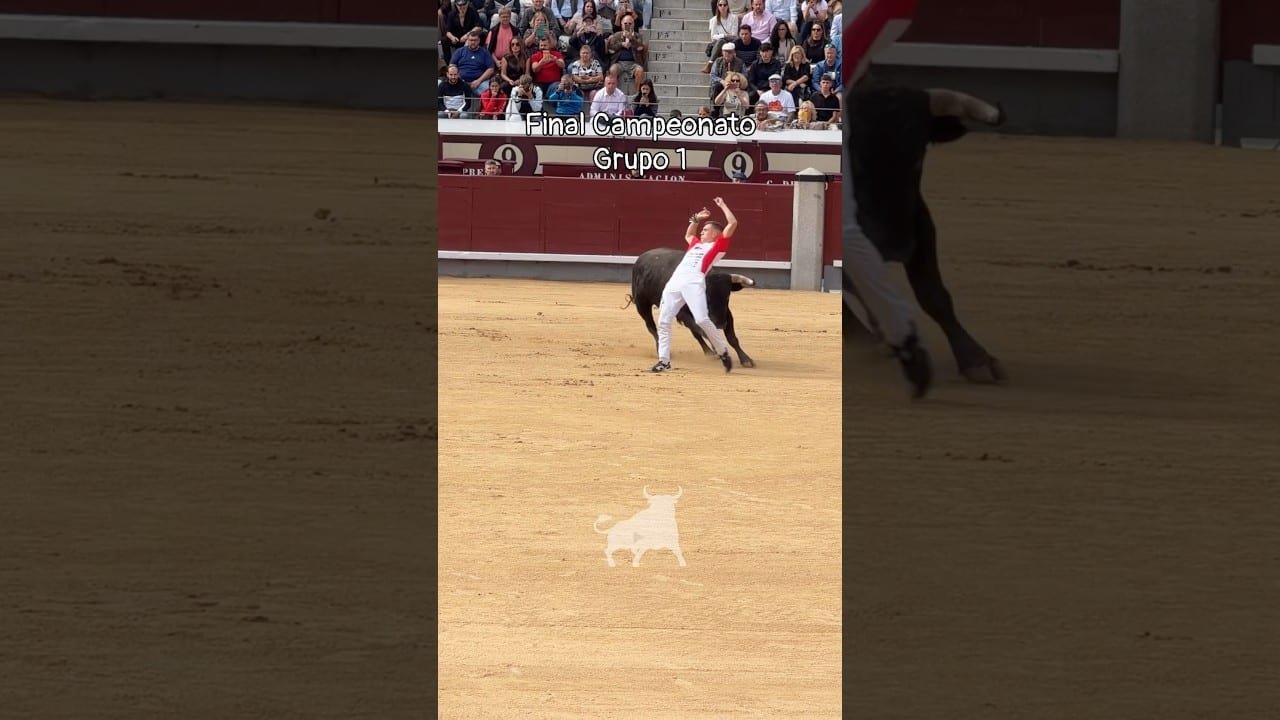 Final del campeonato de españa de recortadores en Madrid 2026 - Grupo 1 FINAL del Campeonato de España 2026 en las Ventas