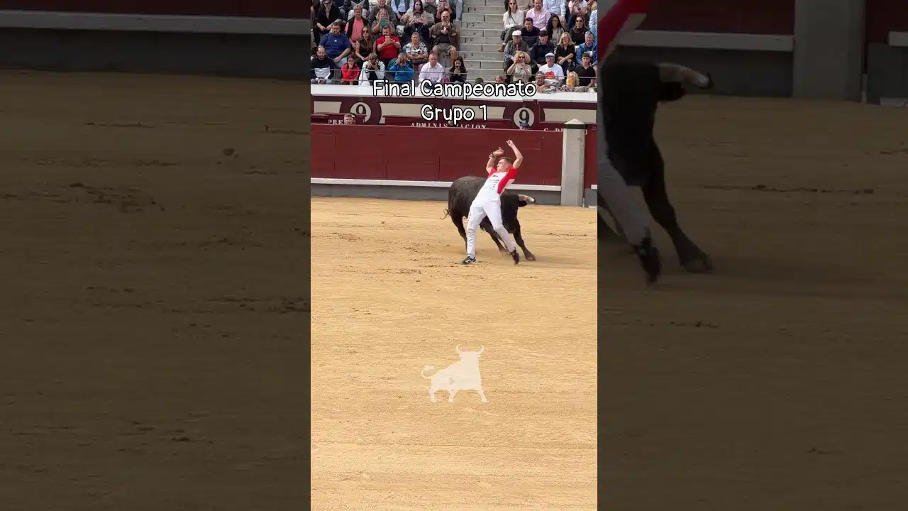 Final del campeonato de españa de recortadores en Madrid 2026 - Grupo 1 FINAL del Campeonato de España 2026 en las Ventas
