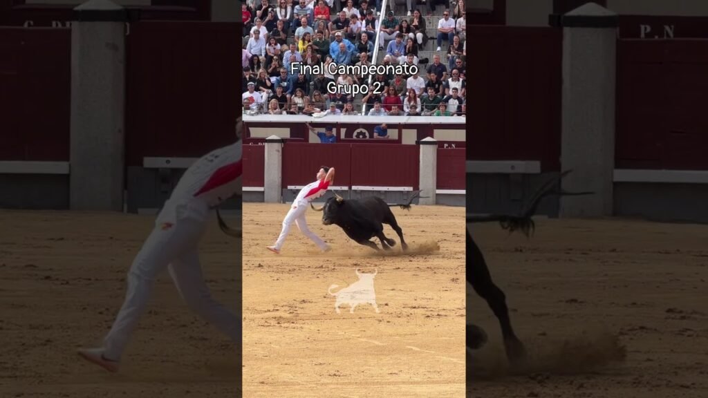 Final del campeonato de españa de recortadores en Madrid 2026 - Exhibición del Grupo 2 en la Final del Campeonato de España