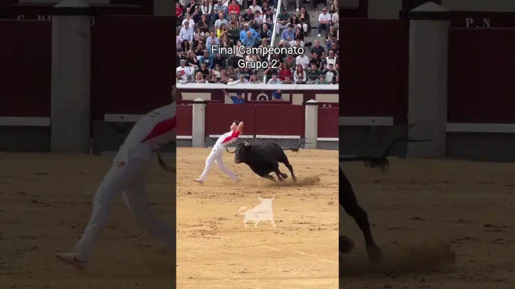 Final del campeonato de españa de recortadores en Madrid 2026 - Exhibición del Grupo 2 en la Final del Campeonato de España
