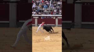 Final del campeonato de españa de recortadores en Madrid 2026 - Exhibición del Grupo 2 en la Final del Campeonato de España