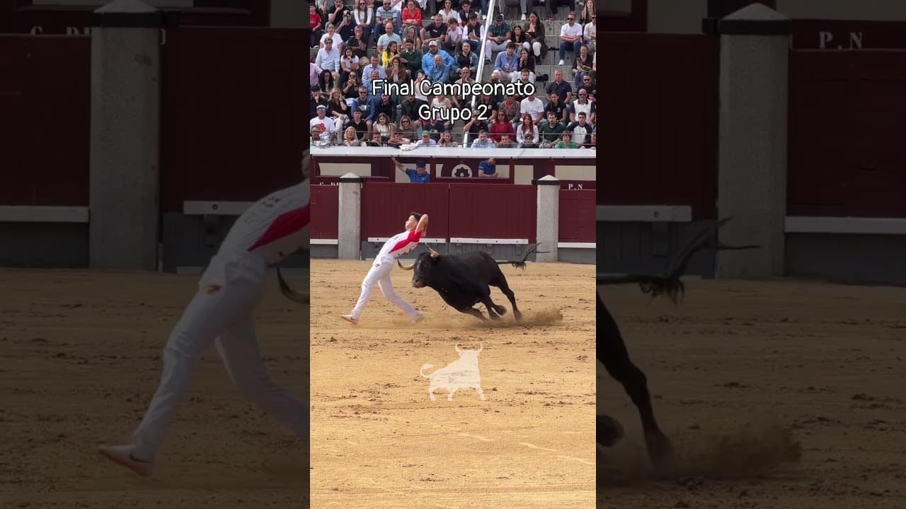 Final del campeonato de españa de recortadores en Madrid 2026 - Exhibición del Grupo 2 en la Final del Campeonato de España