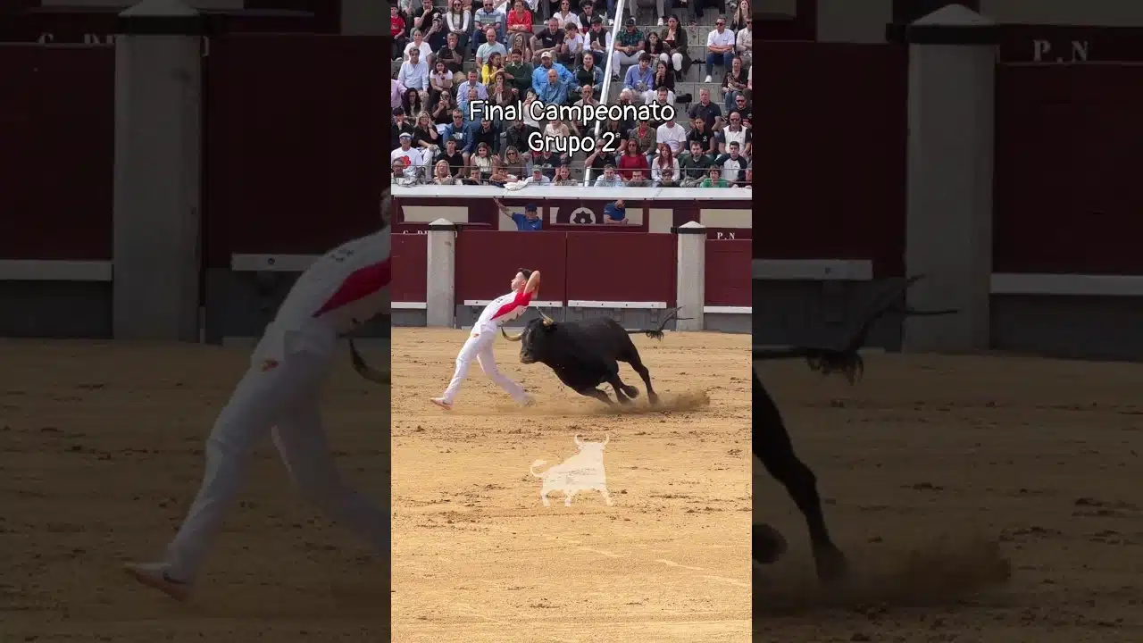 Final del campeonato de españa de recortadores en Madrid 2026 - Exhibición del Grupo 2 en la Final del Campeonato de España