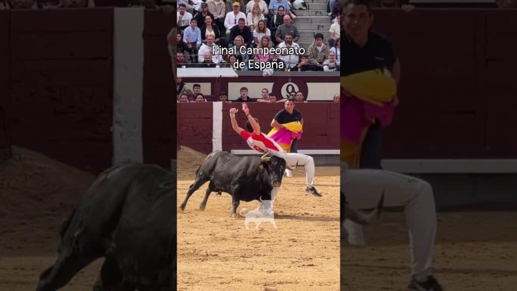 Final del campeonato de españa de recortadores en Madrid 2026 - Increíble el corte de Javi Daganzo en las Ventas