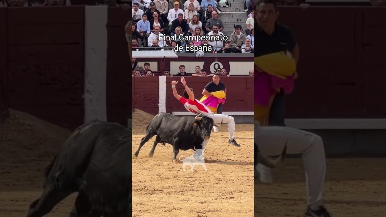 Final del campeonato de españa de recortadores en Madrid 2026 - Increíble el corte de Javi Daganzo en las Ventas