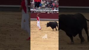 Final del campeonato de españa de recortadores en Madrid 2026 - Semifinal del Campeonato de España de Recortadores
