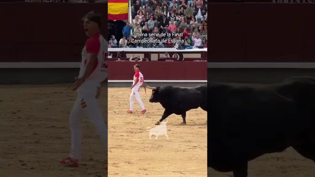 Concurso de recortadores en Madrid 2026 - Primera suerte de la FINAL de Recortadores en Las Ventas