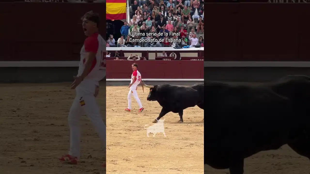 Concurso de recortadores en Madrid 2026 - Primera suerte de la FINAL de Recortadores en Las Ventas