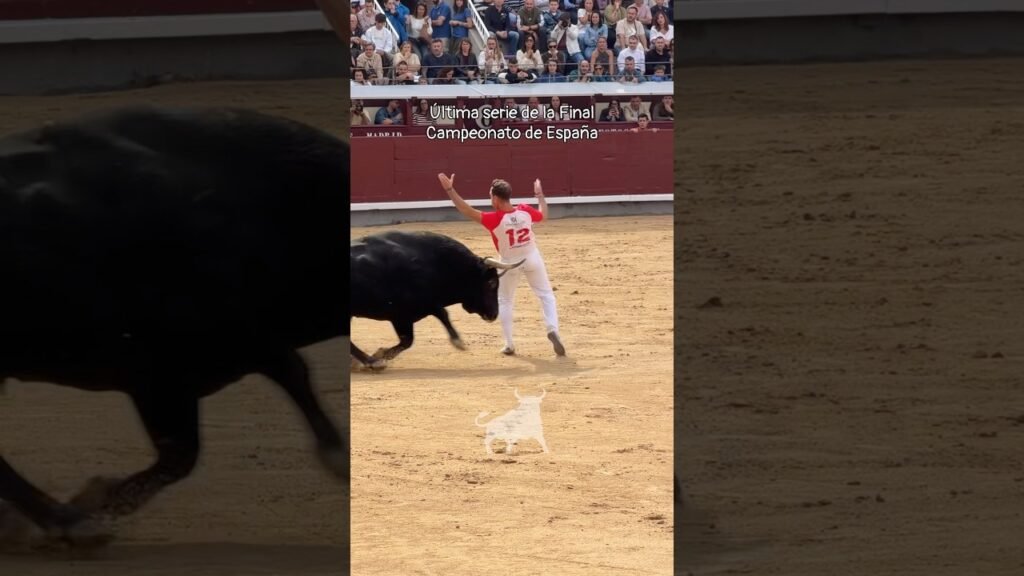 Concurso de recortadores en Madrid 2026 - Segunda suerte de la Final del Campeonato de España de Recortadores en Madrid