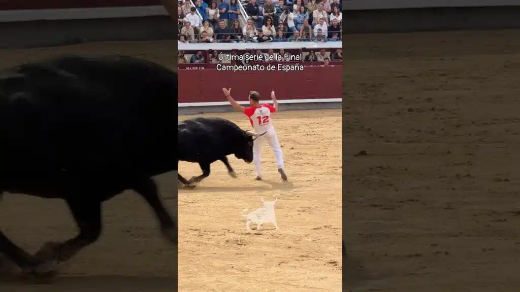 Concurso de recortadores en Madrid 2026 - Segunda suerte de la Final del Campeonato de España de Recortadores en Madrid