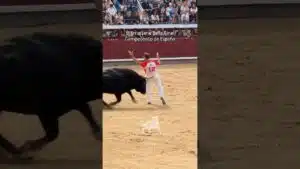 Concurso de recortadores en Madrid 2026 - Segunda suerte de la Final del Campeonato de España de Recortadores en Madrid