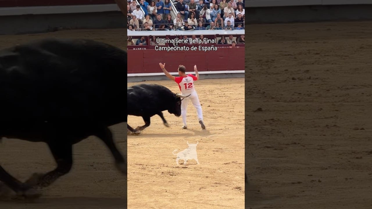 Concurso de recortadores en Madrid 2026 - Segunda suerte de la Final del Campeonato de España de Recortadores en Madrid
