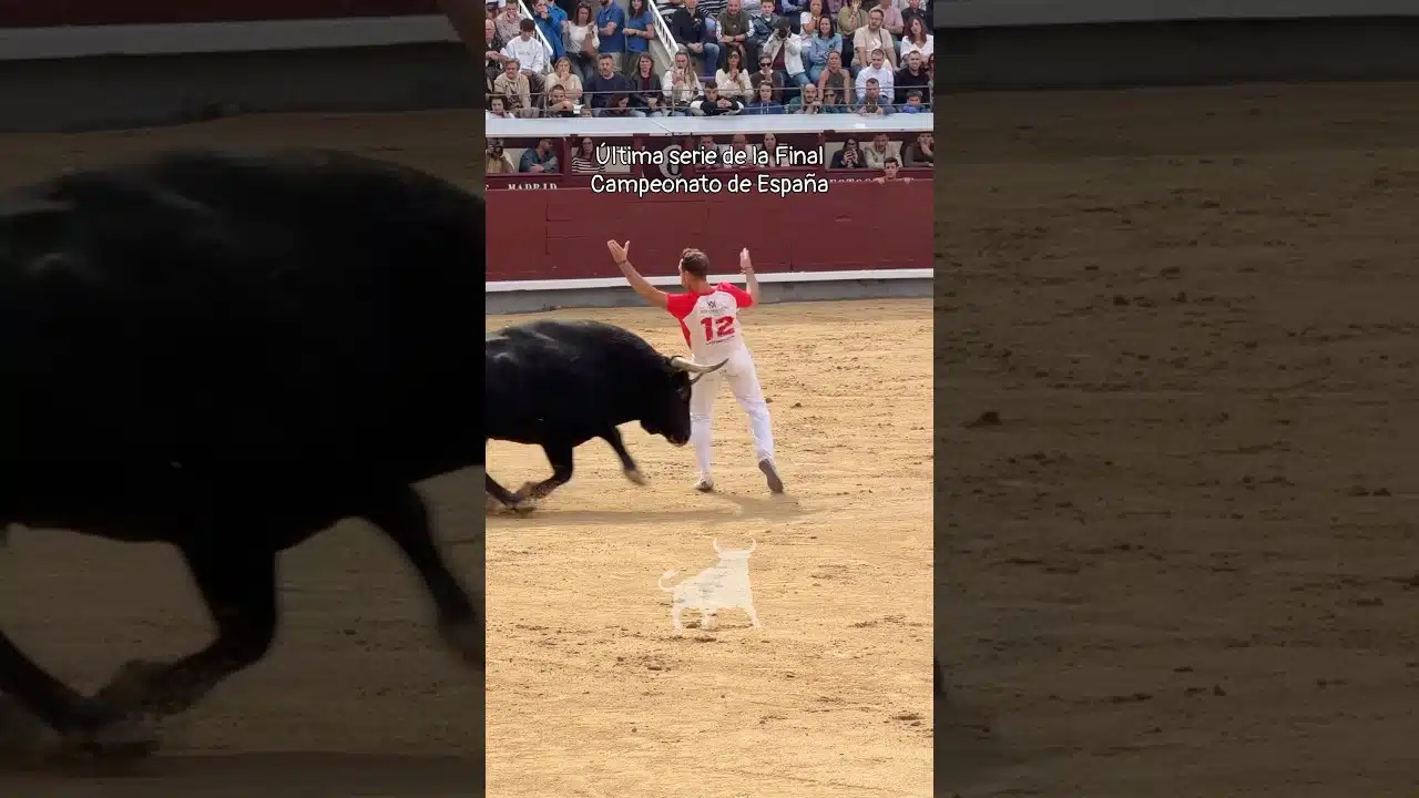 Concurso de recortadores en Madrid 2026 - Segunda suerte de la Final del Campeonato de España de Recortadores en Madrid