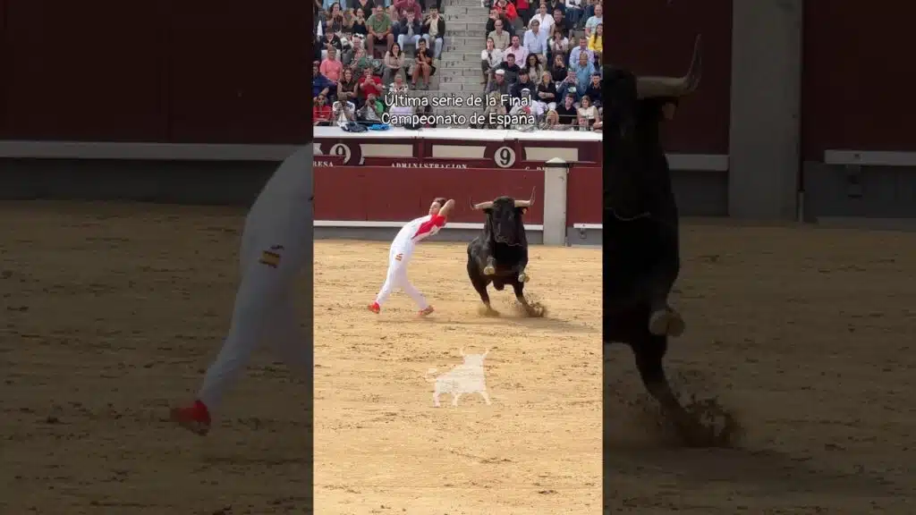 Concurso de recortadores en Madrid 2026 - Espectaculares cortes en la finalísima del Campeonato de España en Las Ventas