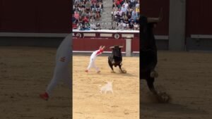 Concurso de recortadores en Madrid 2026 - Espectaculares cortes en la finalísima del Campeonato de España en Las Ventas