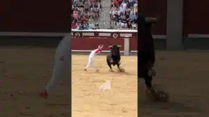 Concurso de recortadores en Madrid 2026 - Espectaculares cortes en la finalísima del Campeonato de España en Las Ventas