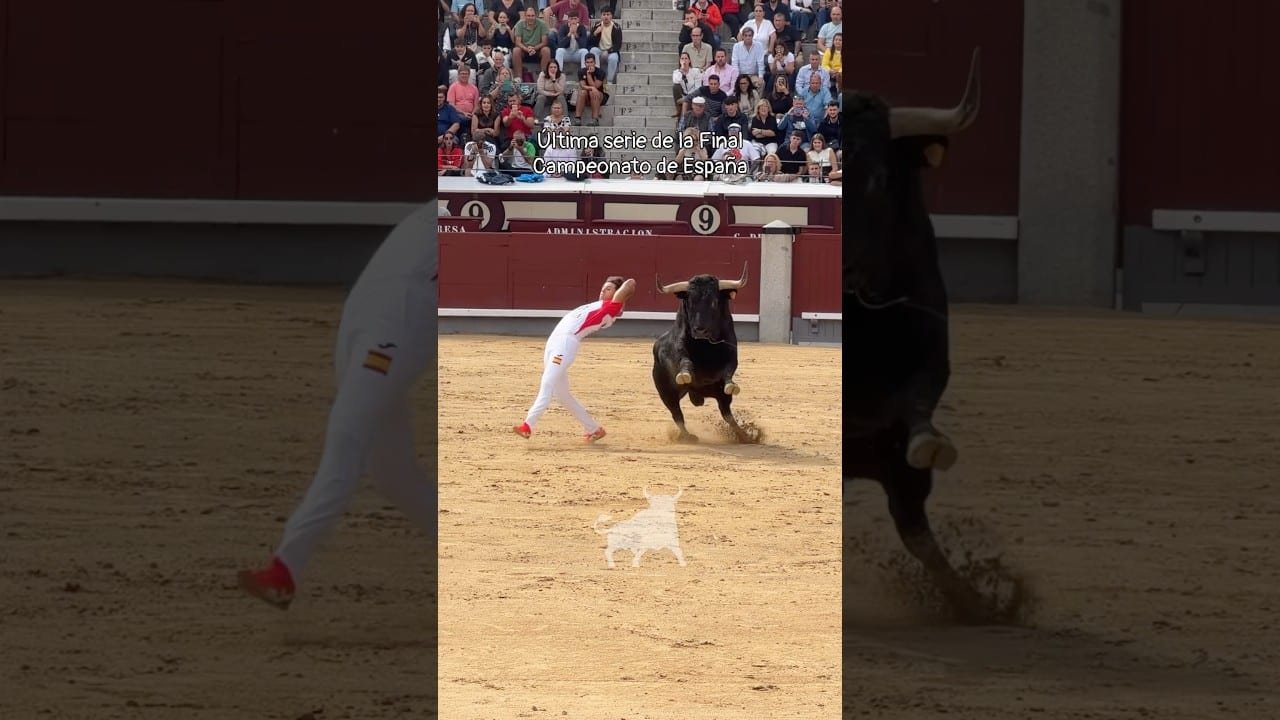 Concurso de recortadores en Madrid 2026 - Espectaculares cortes en la finalísima del Campeonato de España en Las Ventas